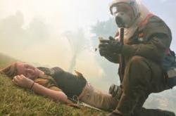 Survival Strategies